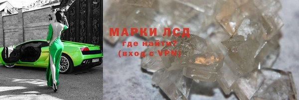 прущие грибы Арсеньев