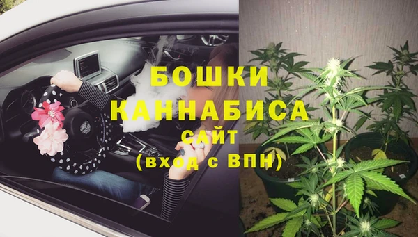 прущие грибы Арсеньев