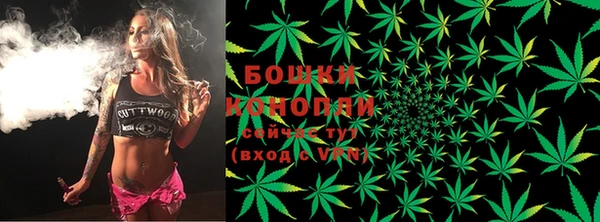 прущие грибы Арсеньев