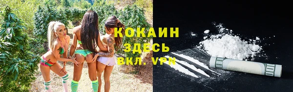 молекула духа Аркадак