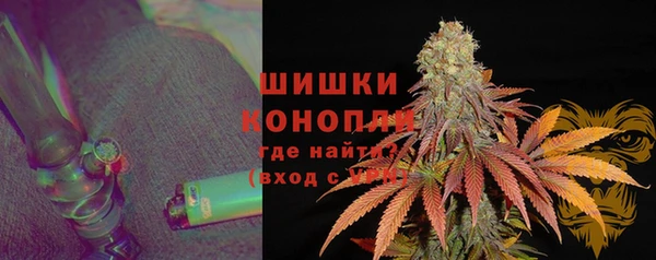 прущие грибы Арсеньев