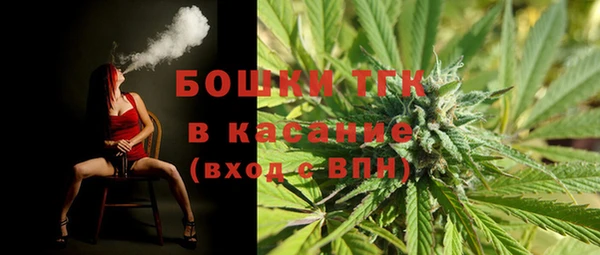 молекула духа Аркадак
