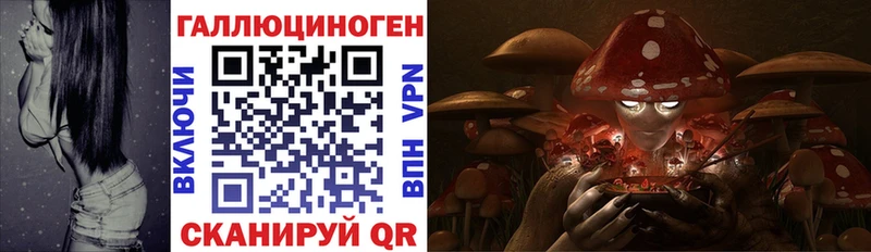 Псилоцибиновые грибы Cubensis  дарнет шоп  OMG   Кондрово 